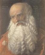 Albrecht Durer Head of the Apostle james oil painting on canvas